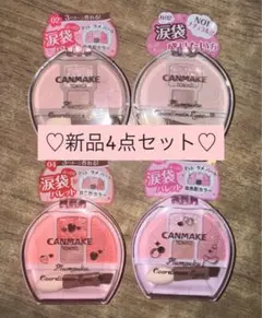 【新品】キャンメイク　プランぷくコーデアイズ　02.N02.04.05