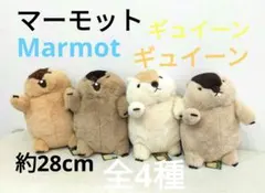希少　レア　マーモットのもっとっと ギュイーンJB 　新品　コンプリート