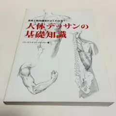 人体デッサンの基礎知識: 骨格と筋肉構造がよくわかる!