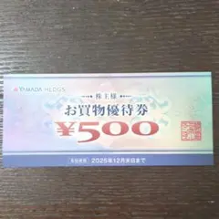 ヤマダ電機　株主優待　お買物優待券