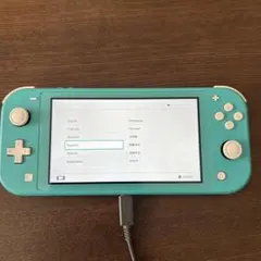 ち*様 Nintendo Switch Lite ターコイズ