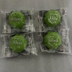 ツイステ　リンライ　マレウス　シルバー　セベク　リリア
