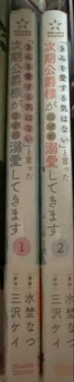 「きみを愛する気はない」と言った次期公爵様がなぜか溺愛してきます 1~2巻