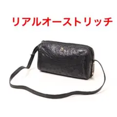 H2444-1◾️オーストリッチ　斜め掛けミニショルダーバッグ