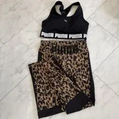 スポーツブラヒョウ柄