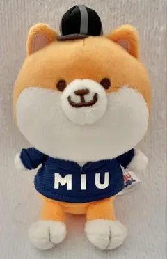 2026年最新】ポリまる ぬいぐるみの人気アイテム - メルカリ