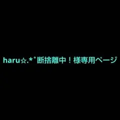 haru✩.*˚断捨離中！様専用ページ