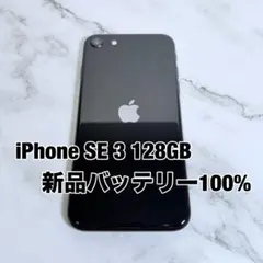 バッテリー容量100% SE3 256GB Apple iPhone ＜0569 バッテリー容量100% SE3 256GB Apple iPhone ＜0569 - メルカリ