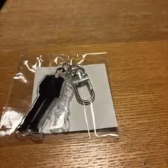 NEW_セブチ　ディノ　アイドル アクリルキーホルダー