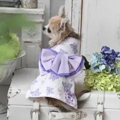 値下げ‼️ ANNA SUI アナスイ 犬服 浴衣 Sサイズ 新品