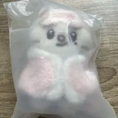 匿名配送】skzoo 10cm plush ジニレット セット - メルカリ