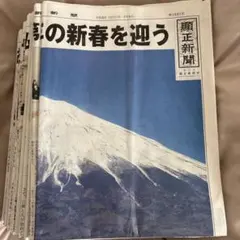 顕正新聞 平成26年 - メルカリ