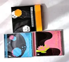 遙かなる時空の中で5 トレジャーBOX特典　CD+DVD二枚セット