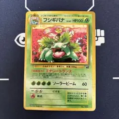 美品　旧裏　フシギバナ