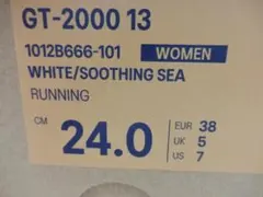 ASICS GT-2000 13 レディース 24.0 cm