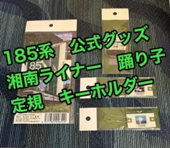 未開封品：185系 踊り子・湘南ライナー メモリアルグッズ　4点セット