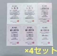 ⑪4セット 六甲山上レジャー施設 優待入場券 割引 阪急阪神 六甲山スノーパーク