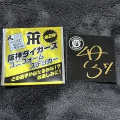 阪神タイガース ユニフォームステッカー 平田勝男2軍監督 - メルカリ