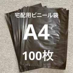 宅配用ビニール袋　A4 100枚のサムネイル