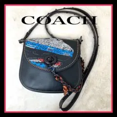 ✨️希少✨COACH ショルダーバッグ レザー　スパンコール　刺繍　クラッチバッグ