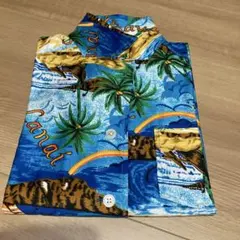 Item thumbnail for item f595f9f0-f6f1-4150-874d-68349e981d32