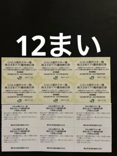 12枚ガーラ湯沢スキー株主さまリフト優待割引券JR東日本　匿名配送