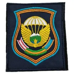 2025年最新】ロシア軍 ワッペンの人気アイテム - メルカリ