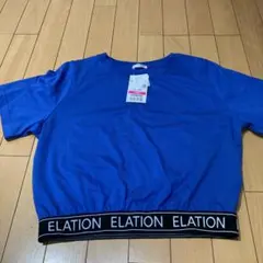 Item thumbnail for item 0feeff7b-31ee-4d02-b504-87e12ffe697f