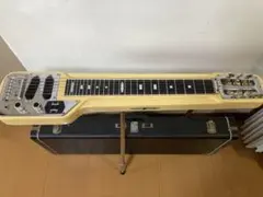 2026年最新】グヤトーン スチールギターの人気アイテム - メルカリ