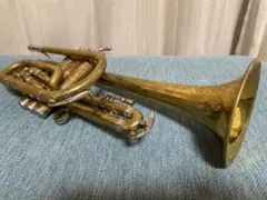 Item thumbnail for item d95b3c94-28e1-4711-aefd-46d666f3730c