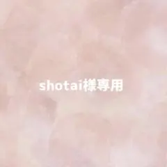 【メルカリ便】shotai様専用