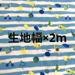 生地幅×2m 水色　白　青　ボーダー　マリン　動物柄　果物柄　男の子