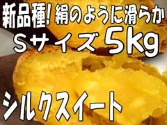 5kg 【シルクスイート】Sサイズ☆しっとり滑らか甘いさつまいものサムネイル