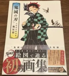 2026年最新】吾峠呼世晴画集の人気アイテム - メルカリ