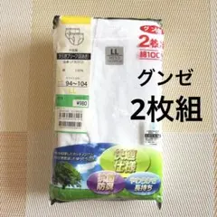 グンゼ　メンズ天引きブリーフ　2枚組　サイズL L