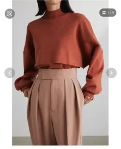 STYLEMIXER オレンジ 長袖ニット フリーサイズ