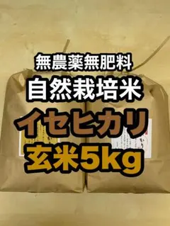 自然栽培【イセヒカリ】玄米5kg 新米 令和7年度産 無農薬無肥料の自然栽培米のサムネイル