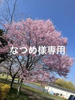 なつめ様専用、商品6点のサムネイル