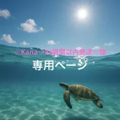 ☆Kana☆24時間以内発送☆様 リクエスト 4点 まとめ商品