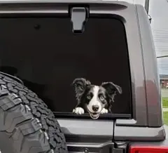 Item thumbnail for item 390b5639-4c2f-4cf5-a8fa-c36f24d14473