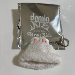 【注意点あり】StrayKids スキズ　ミニボアキャップ　リービット