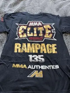 Item thumbnail for item 93ccffde-89bb-4c11-bb1e-8214fbc6a09a