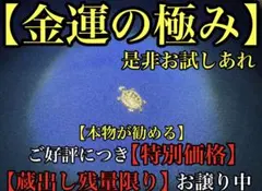 2026年最新】チョウピラコの人気アイテム - メルカリ
