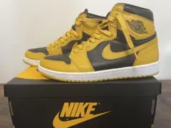 Nike Air Jordan 1 retro high og “pollen”