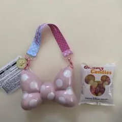 新品　未使用　ディズニー　ミニー　スナックケース　グミケース グミ付き