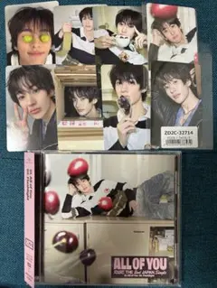 アントン　8枚セット