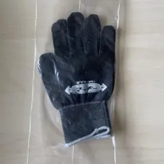 Item thumbnail for item 13afaaec-c481-471f-9f99-12744ffcf30d