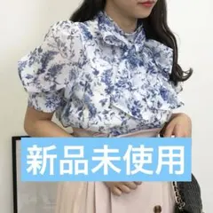 2WAYリボン花柄シアー／ブラウス INGNI イング