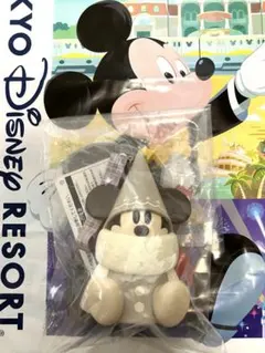 2025 リルリンリン　クリスマス　スナックケース　ミッキー　ディズニーランド