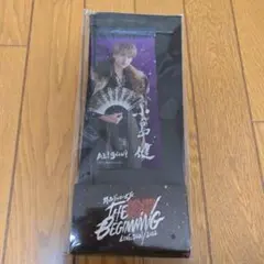 小島健　ミニのぼり